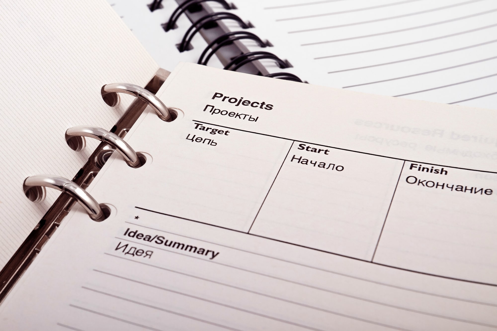 プロジェクトマネジメント事業